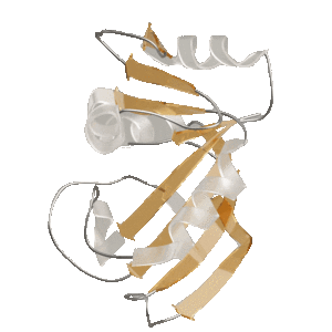 Loss of Proteostasis
