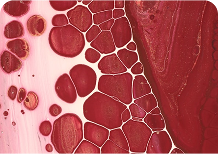 heart health - novos vital