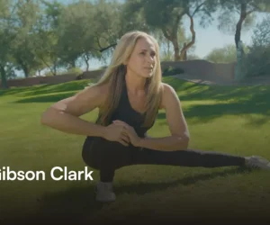 Julie Gibson Clark NOVOS