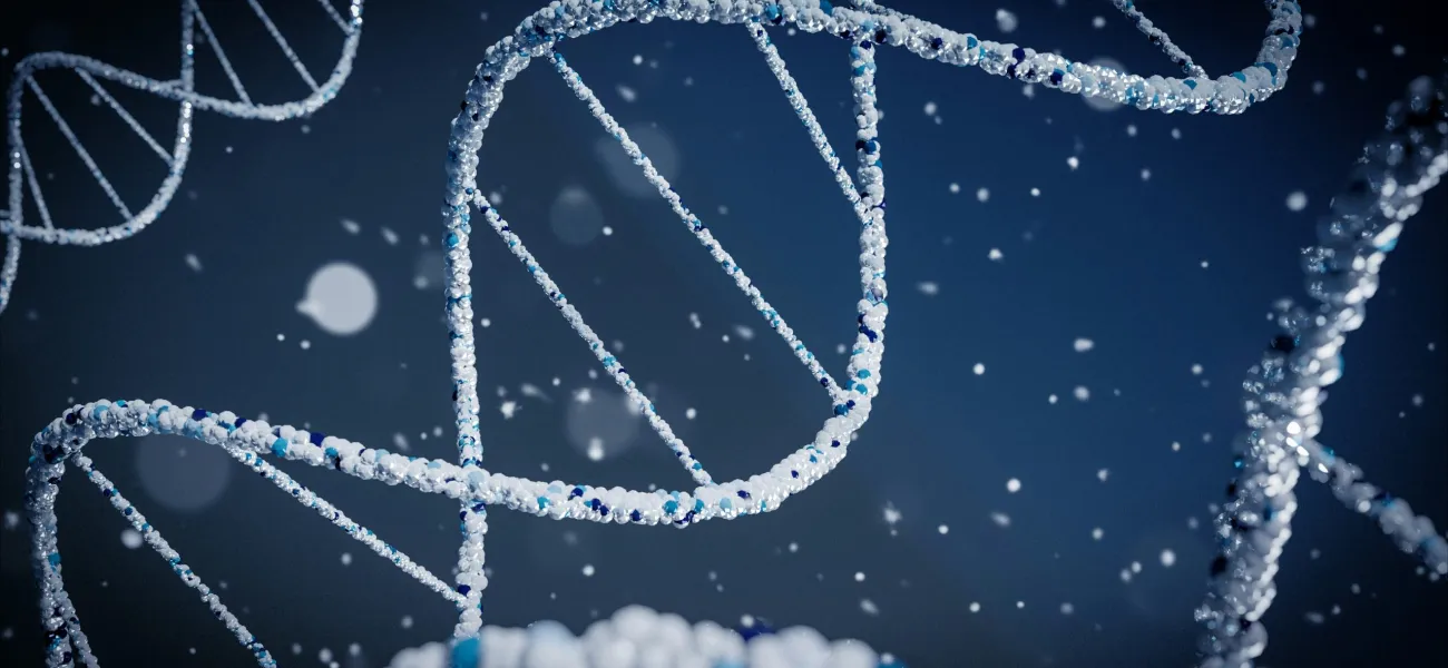 Science of Longevity NOVOS